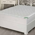 bamboo-zastitnik-e1698303655643