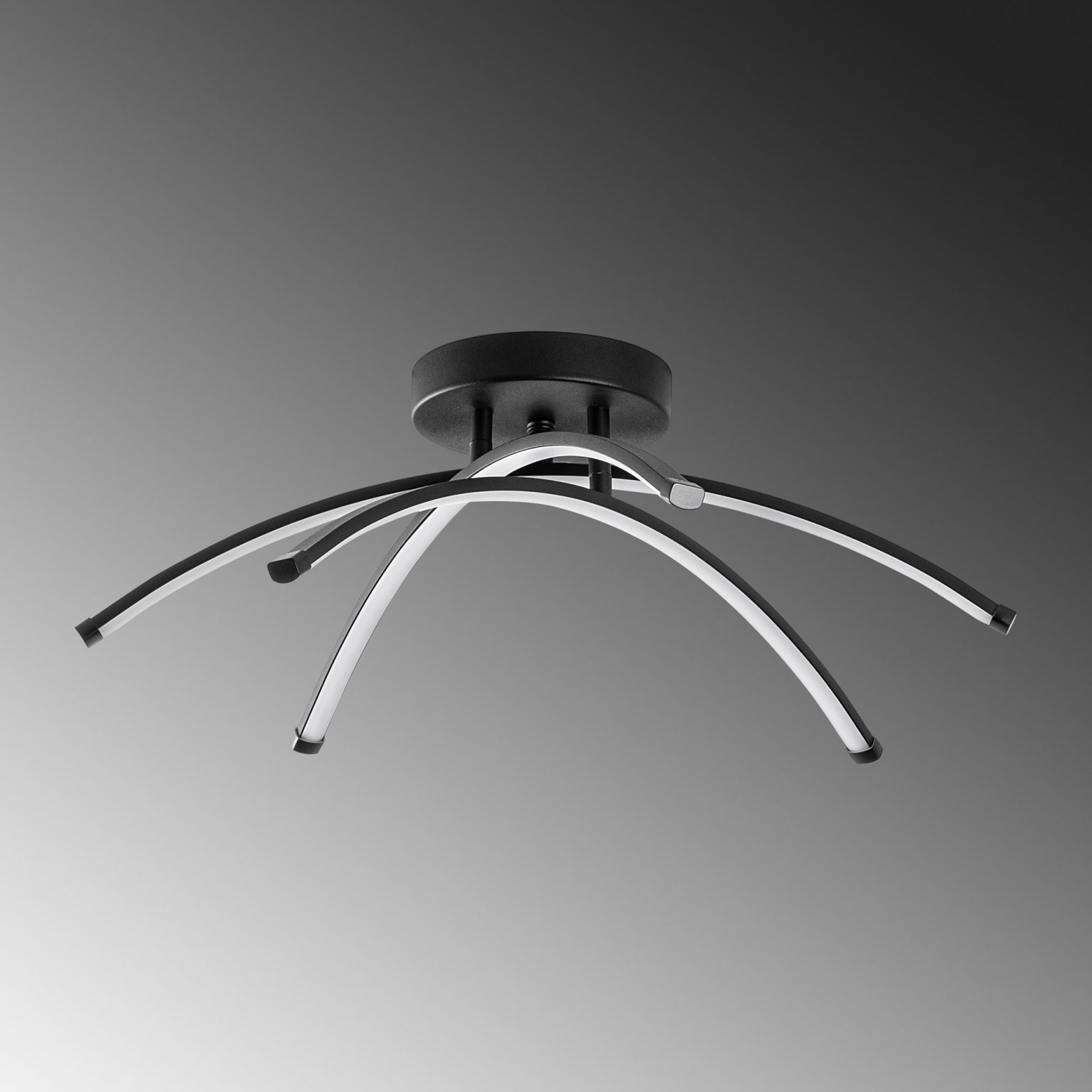 Ledbanana - 13685 – Лустер - Image 6