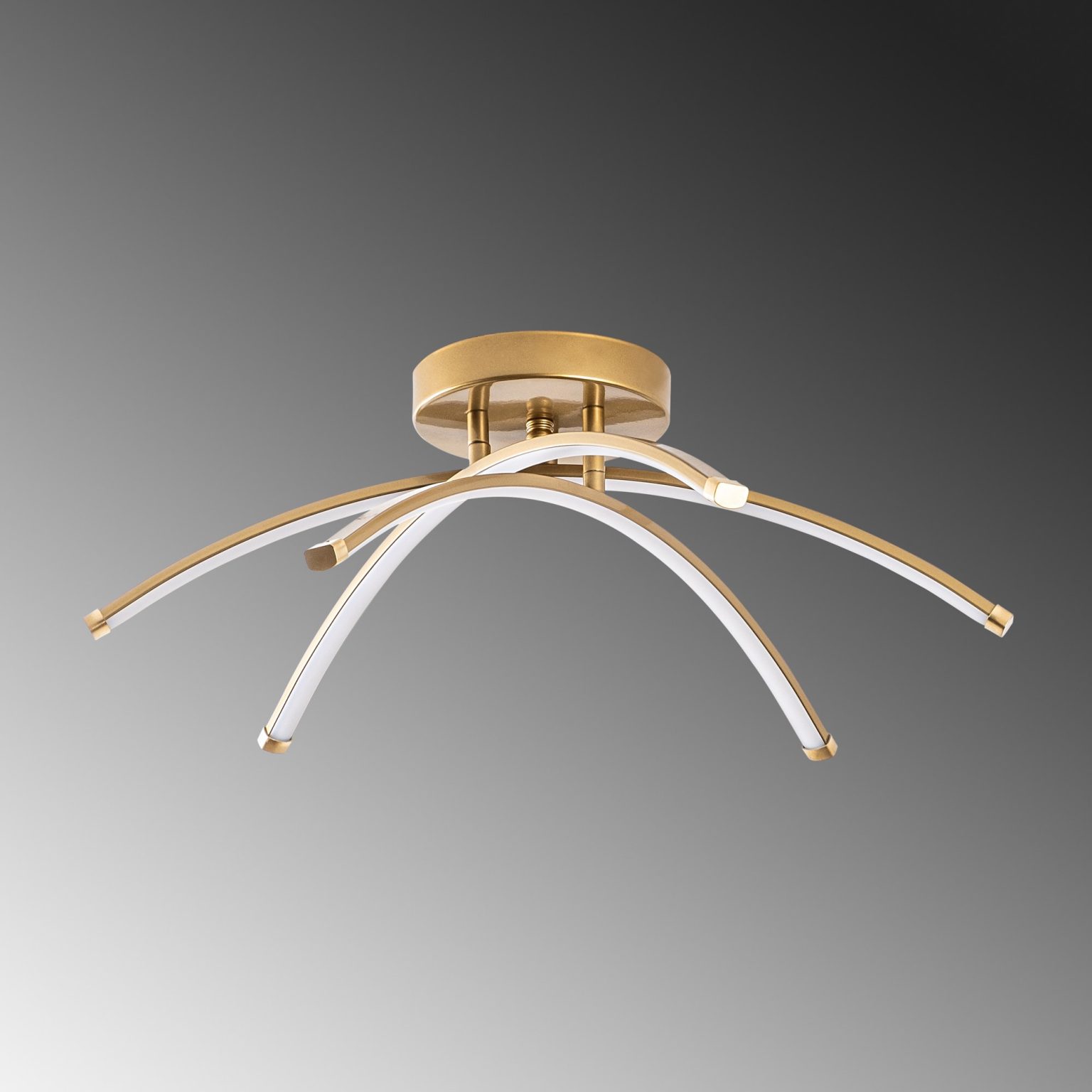 Ledbanana - 13686 – Лустер - Image 6