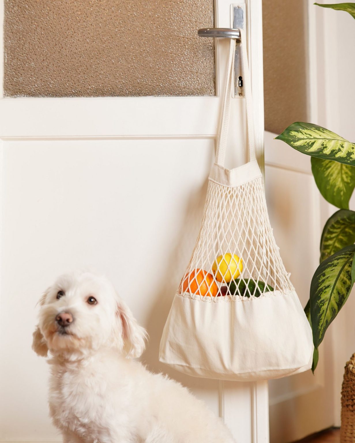 File Big - Natural Beige – Нето торба - Image 3