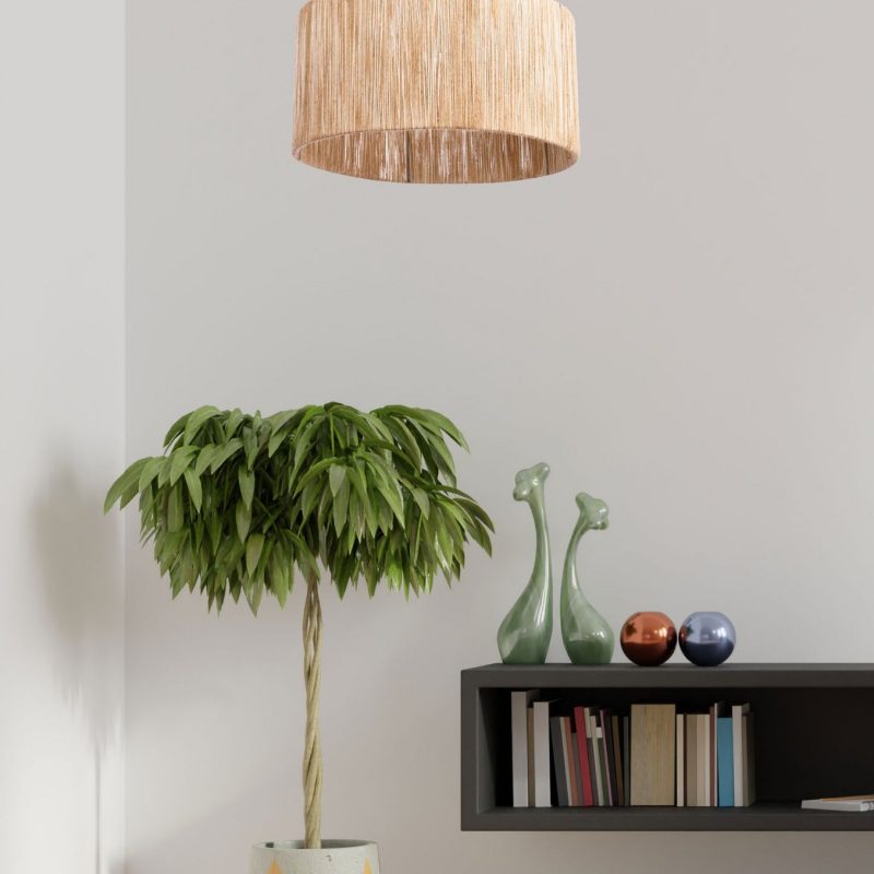 Cane – Лустер