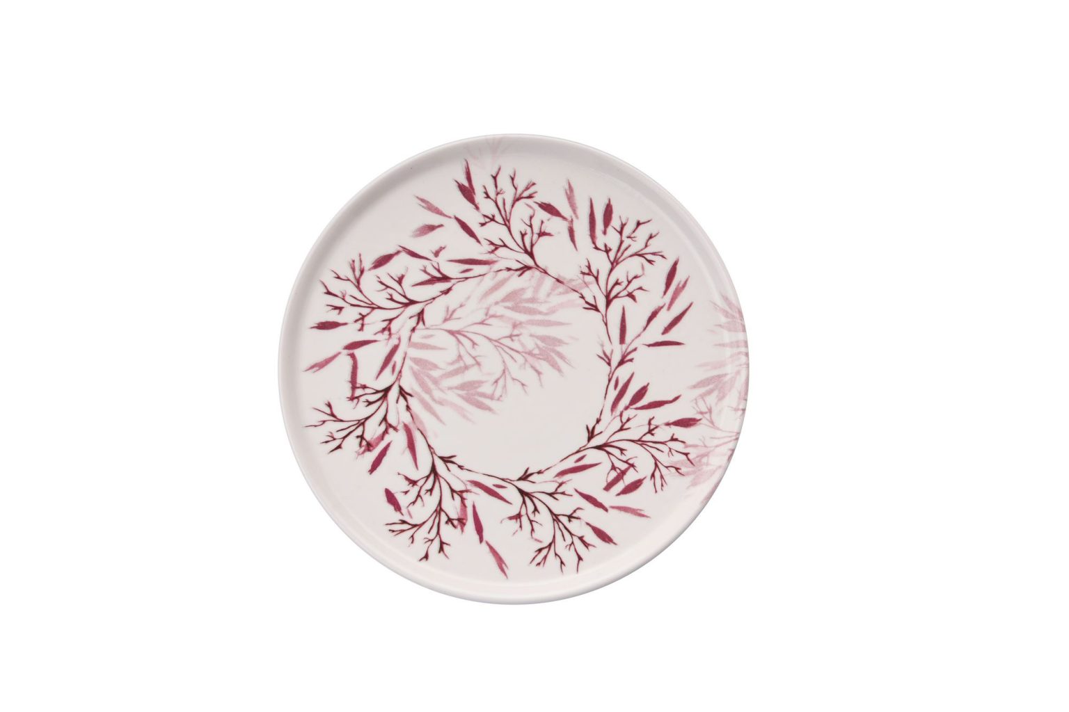 Red Thorn – Комплет чинии за десерт (6 парчиња) - Image 3