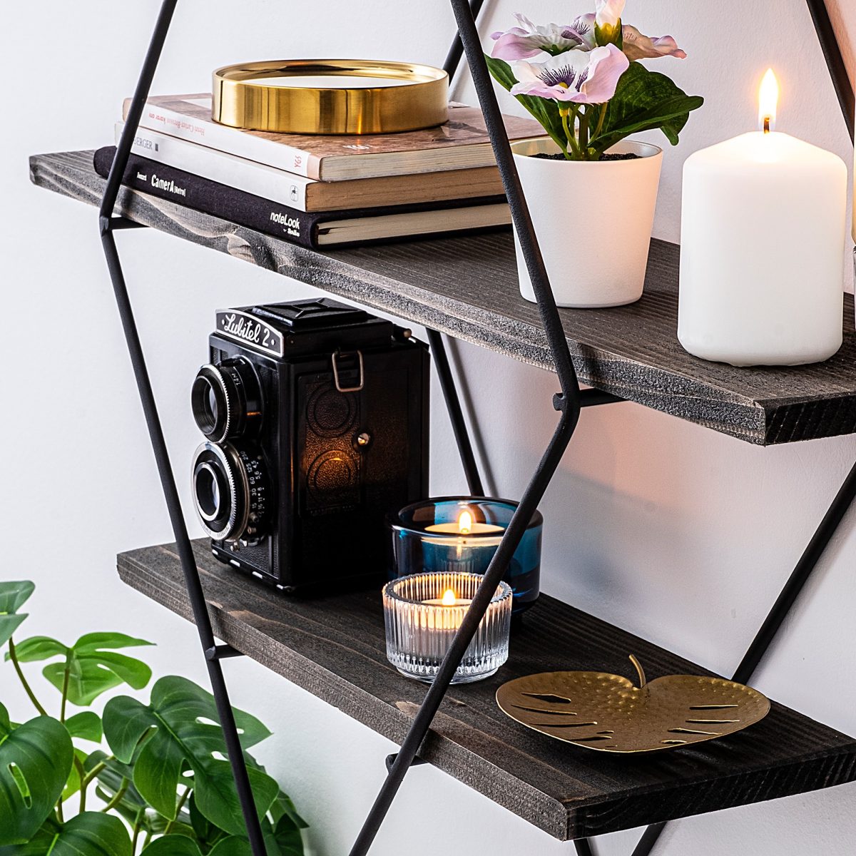 Erysimum – Ѕидна полица - Image 2