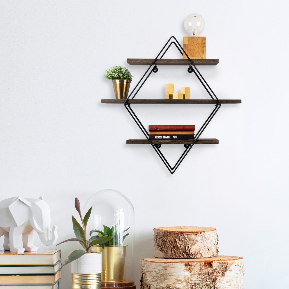 Erysimum – Ѕидна полица - Image 3