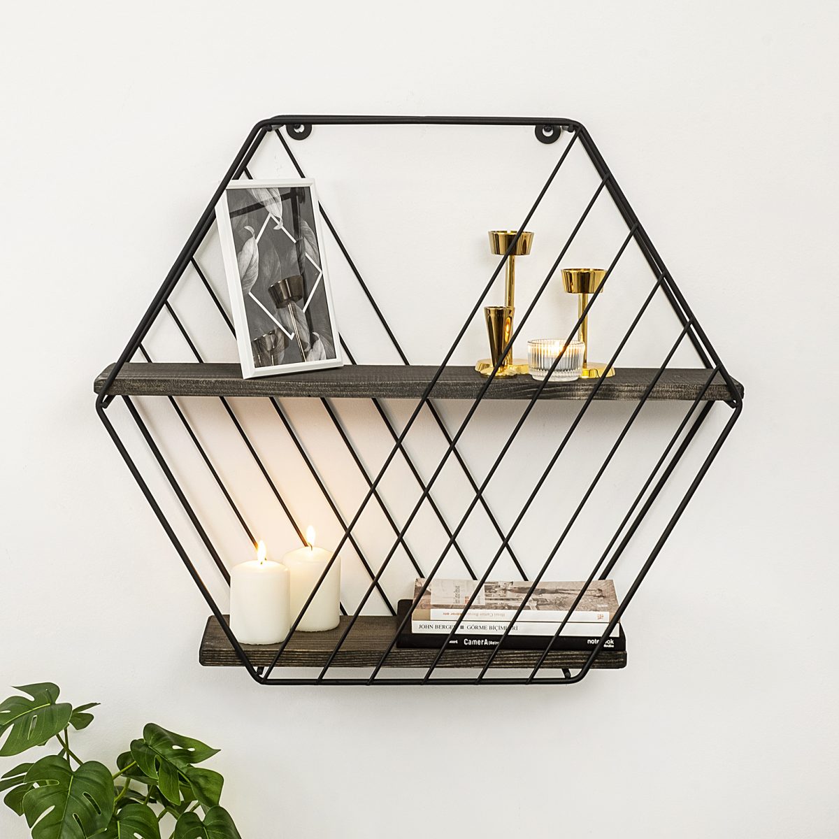 Anemone Vulgaris – Ѕидна полица - Image 2