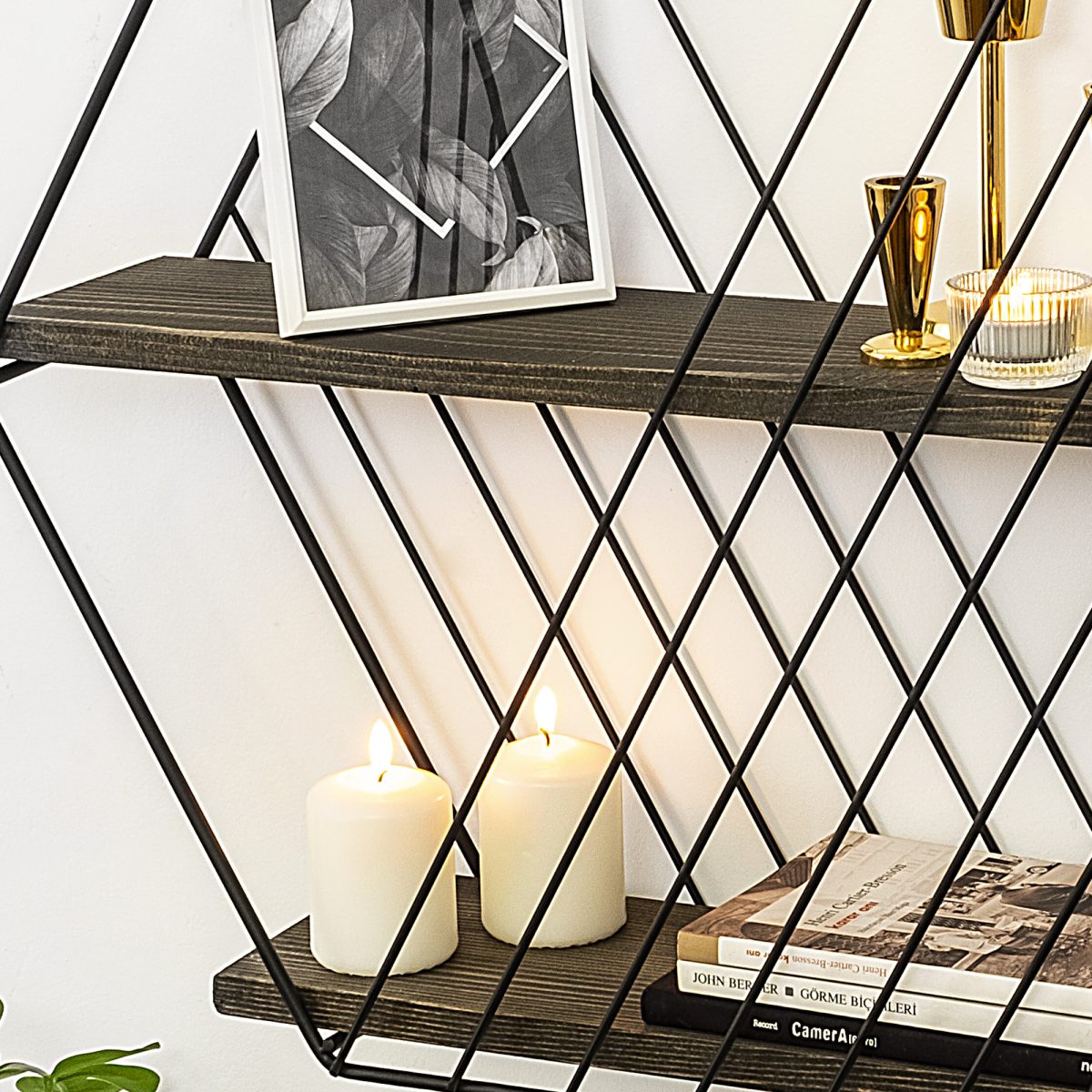 Anemone Vulgaris – Ѕидна полица - Image 4