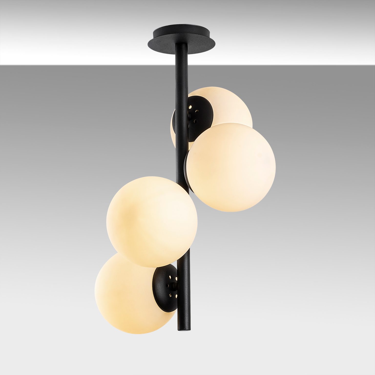 Faze-NT-139 – Лустер - Image 5