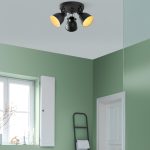 Spotkafası - 13788 – Лустер