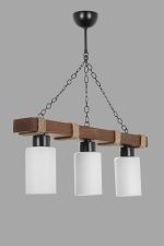 8355-3 – Лустер