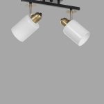 8431-2 – Лустер