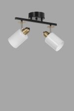 8431-2 – Лустер