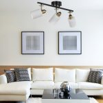 8431-3 – Лустер