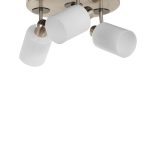 8434-3T – Лустер