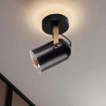 8995-1 – Лустер