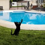 Cat 01 – Декоративен градинарски објект