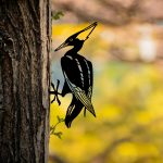 Bird On The Branch 10 - Black – Декоративен градинарски објект