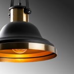 Dodo - 2601 – Лустер - Image 7