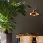 Dodo - 2573 – Лустер