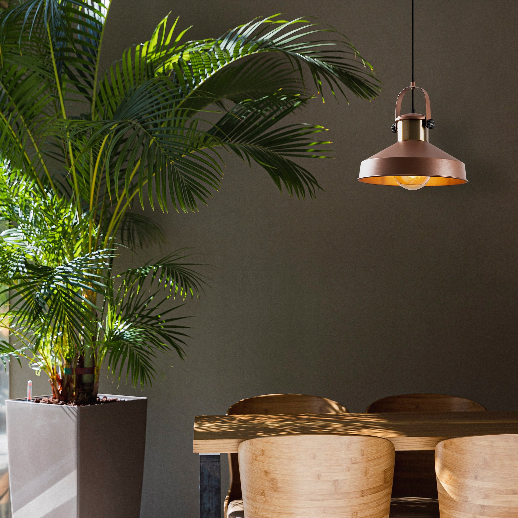 584TTM111720-201.jpg Dodo - 2573 – Лустер - Image 1