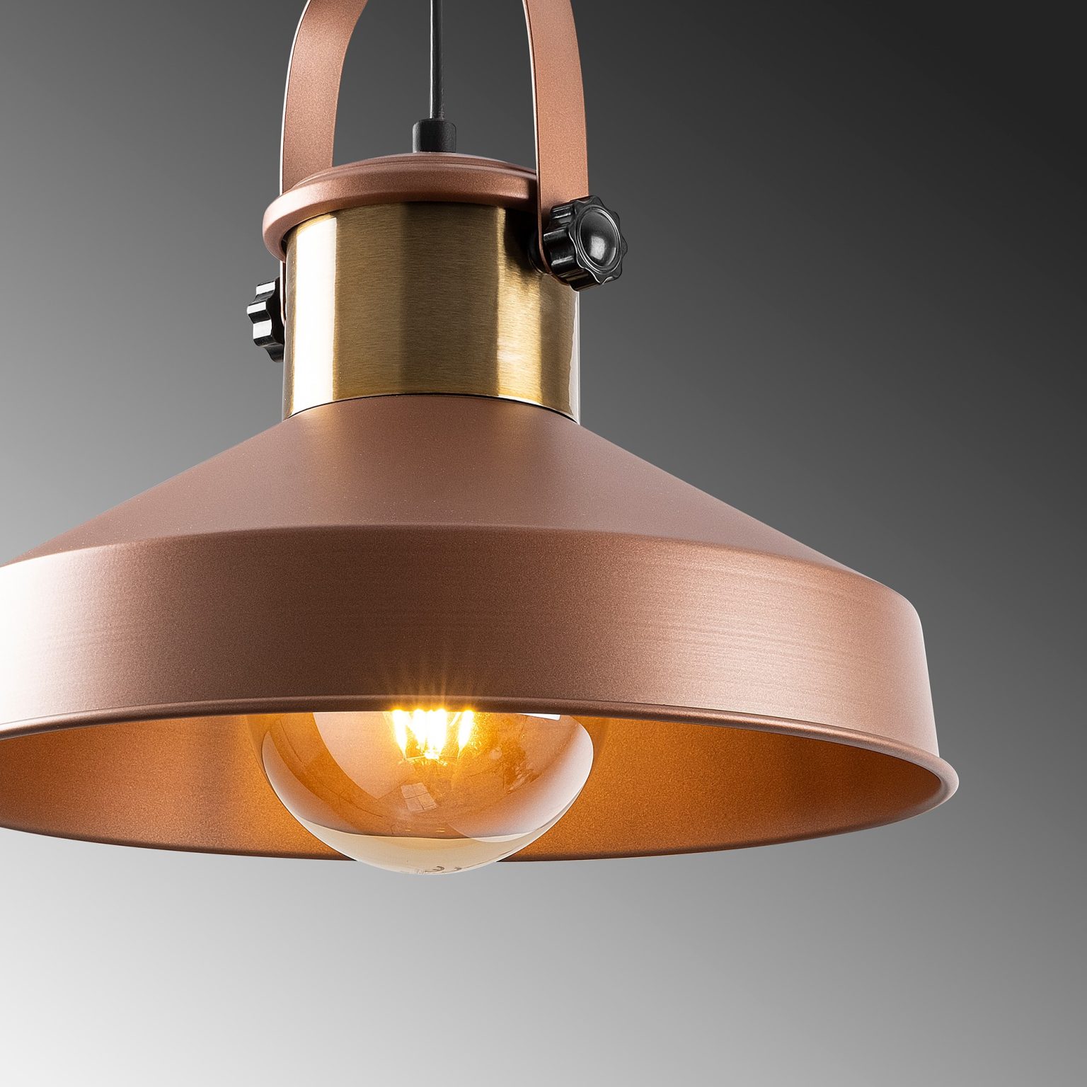 Dodo - 2573 – Лустер - Image 7