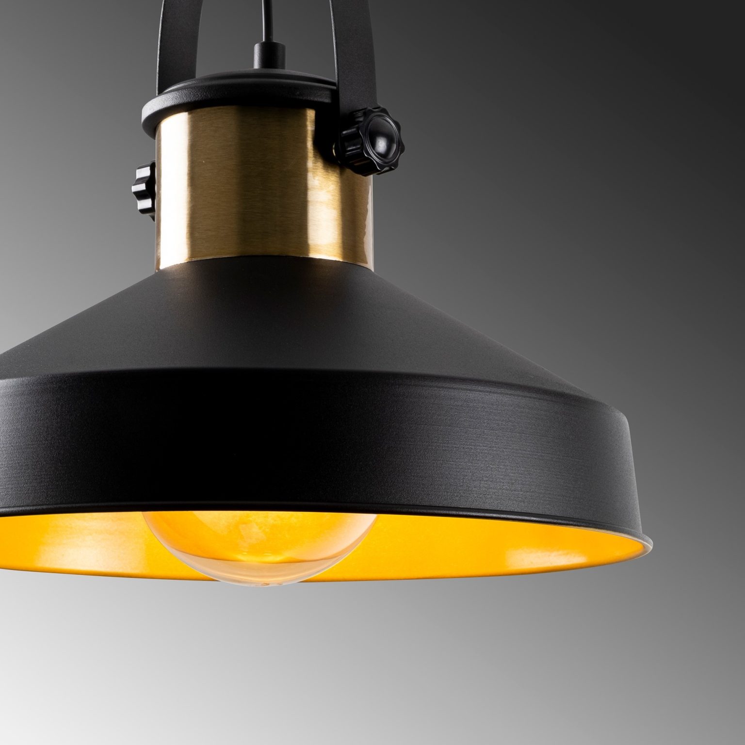 Dodo - 2571 – Лустер - Image 6