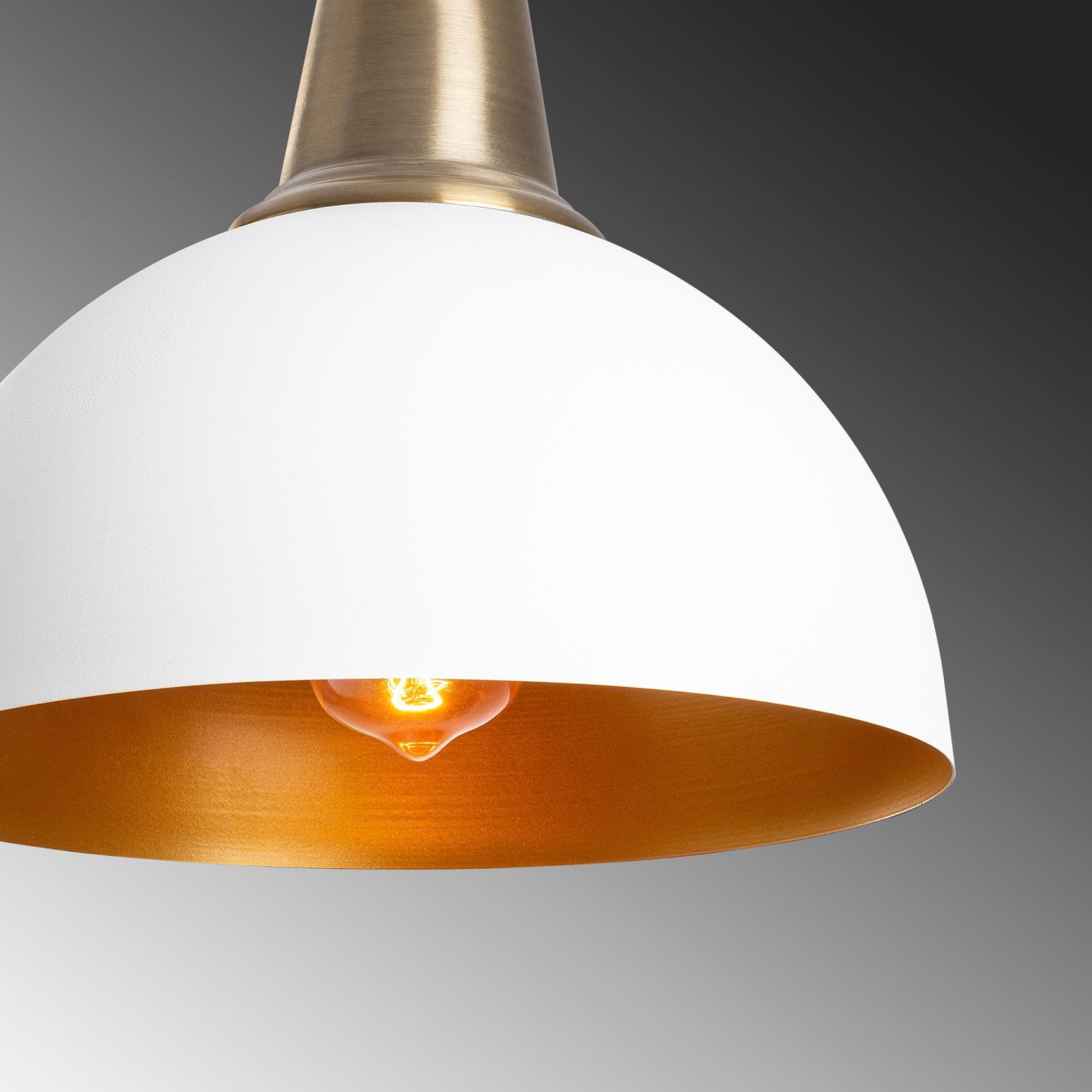 Dodo - 2451 – Лустер - Image 7