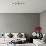 Ray - 1131 – Лустер