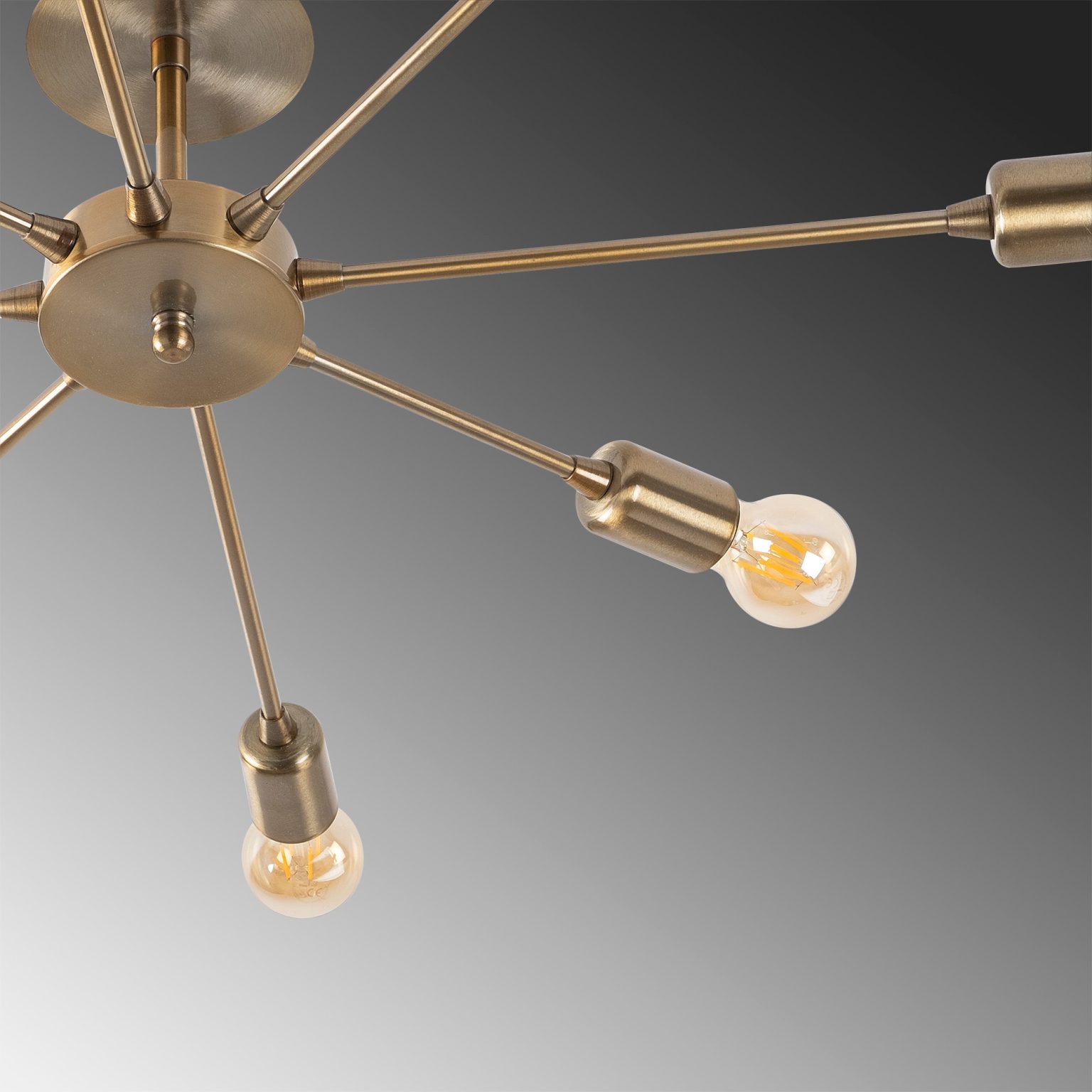 Ray - 1131 – Лустер - Image 5