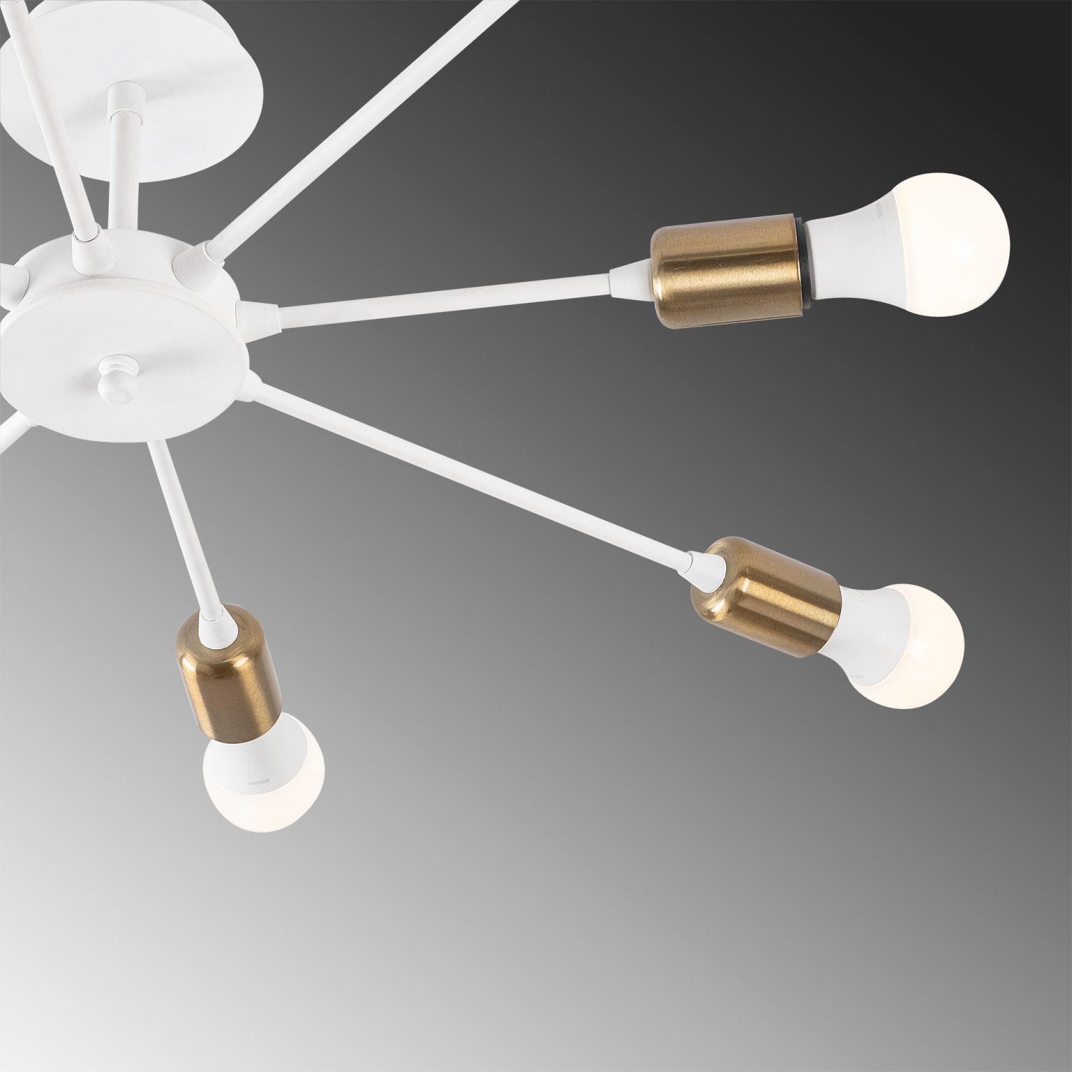 Ray - 1133 – Лустер - Image 5