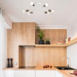 Sparrow - 1232 – Лустер