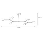 Sparrow - 1241 – Лустер - Image 3
