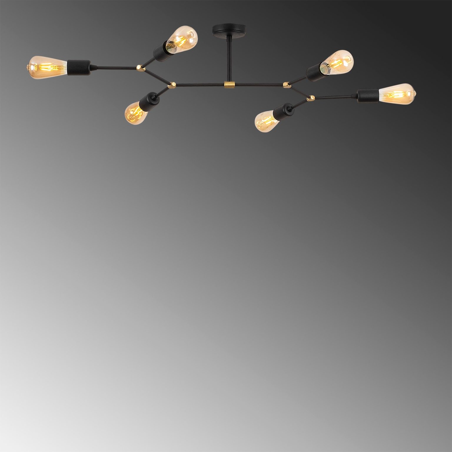 Sparrow - 1242 – Лустер - Image 5