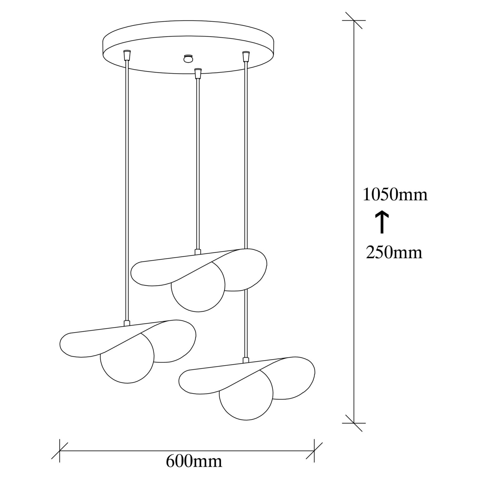 Vatoz - 6141 – Лустер - Image 3
