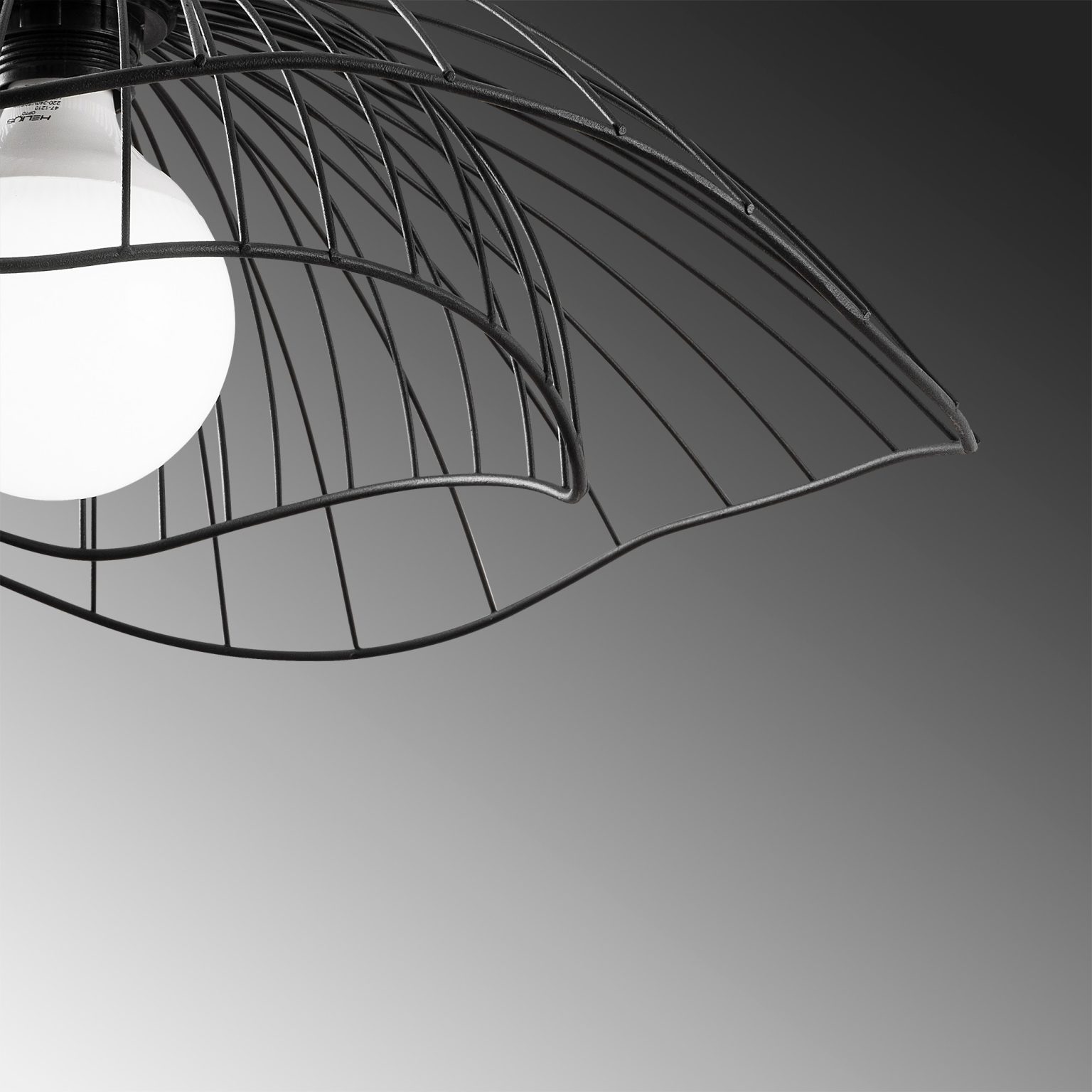 Farac - 6380 – Лустер - Image 8