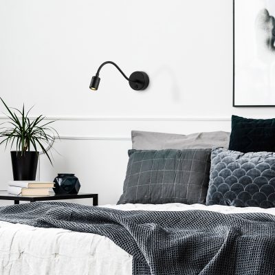 Reading - 3241 – Ѕидна светилка