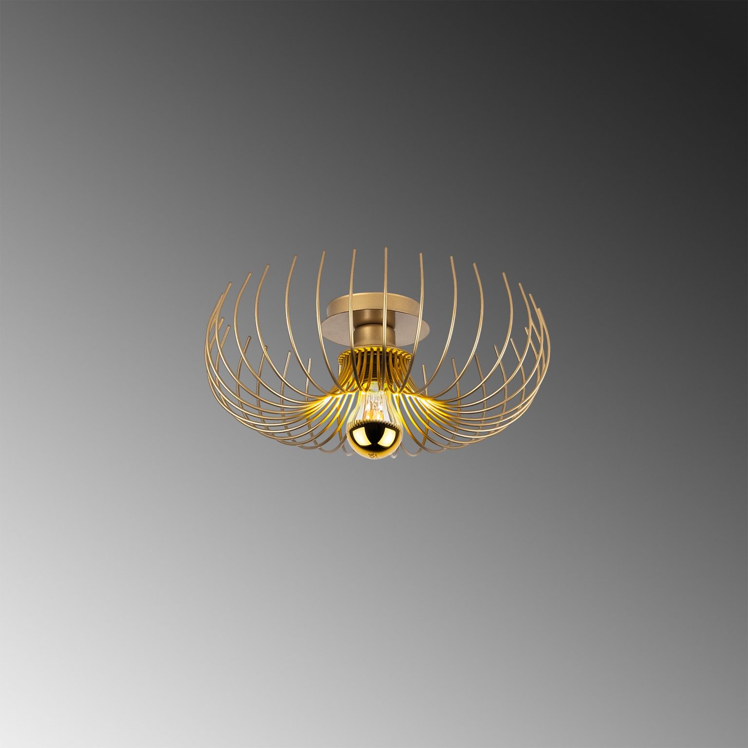 Karsortel - N-641-1 – Лустер - Image 7