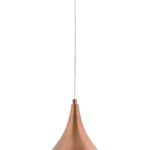 AV-4100-M1-CPR-20 – Лустер