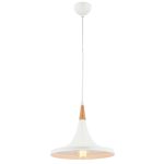 AV-4100-A6-BBY – Лустер