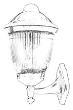 BAP-68210-BSY – Ѕидна светилка на отворено - Image 2