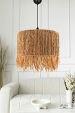 YL657 – Лустер