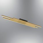 Krakow - C1145 – Лустер