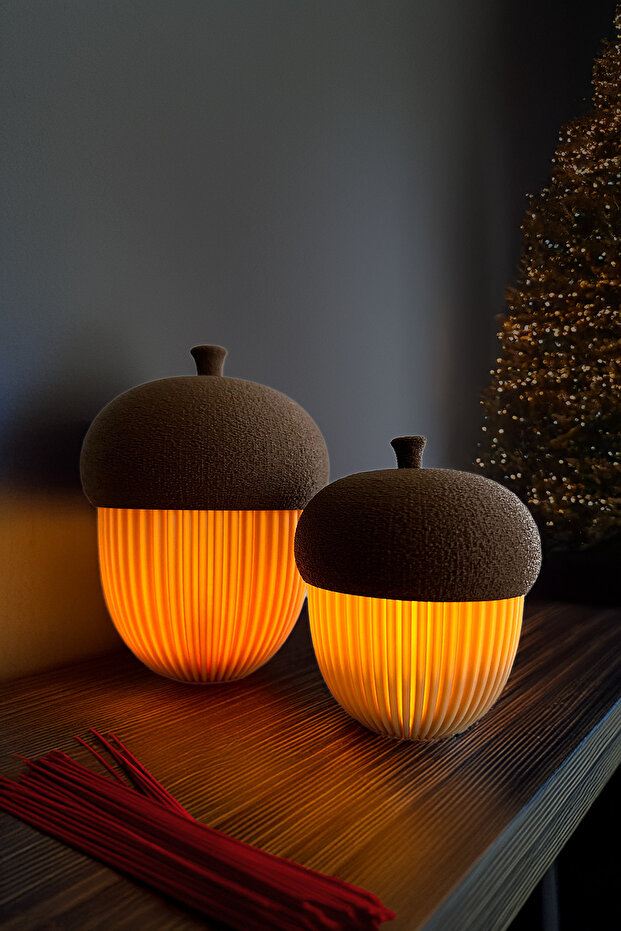 727FRN110420-201.jpg Lighting Acorn – Комплет за ситници (2 парчиња) - Image 1