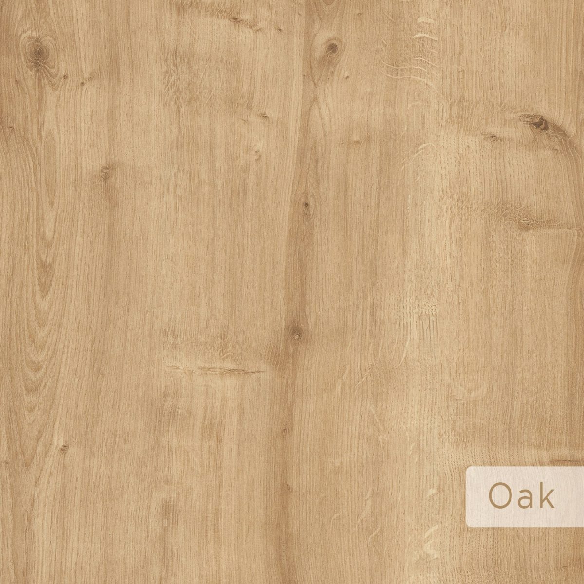 Dude - Oak – Чевларник - Image 7