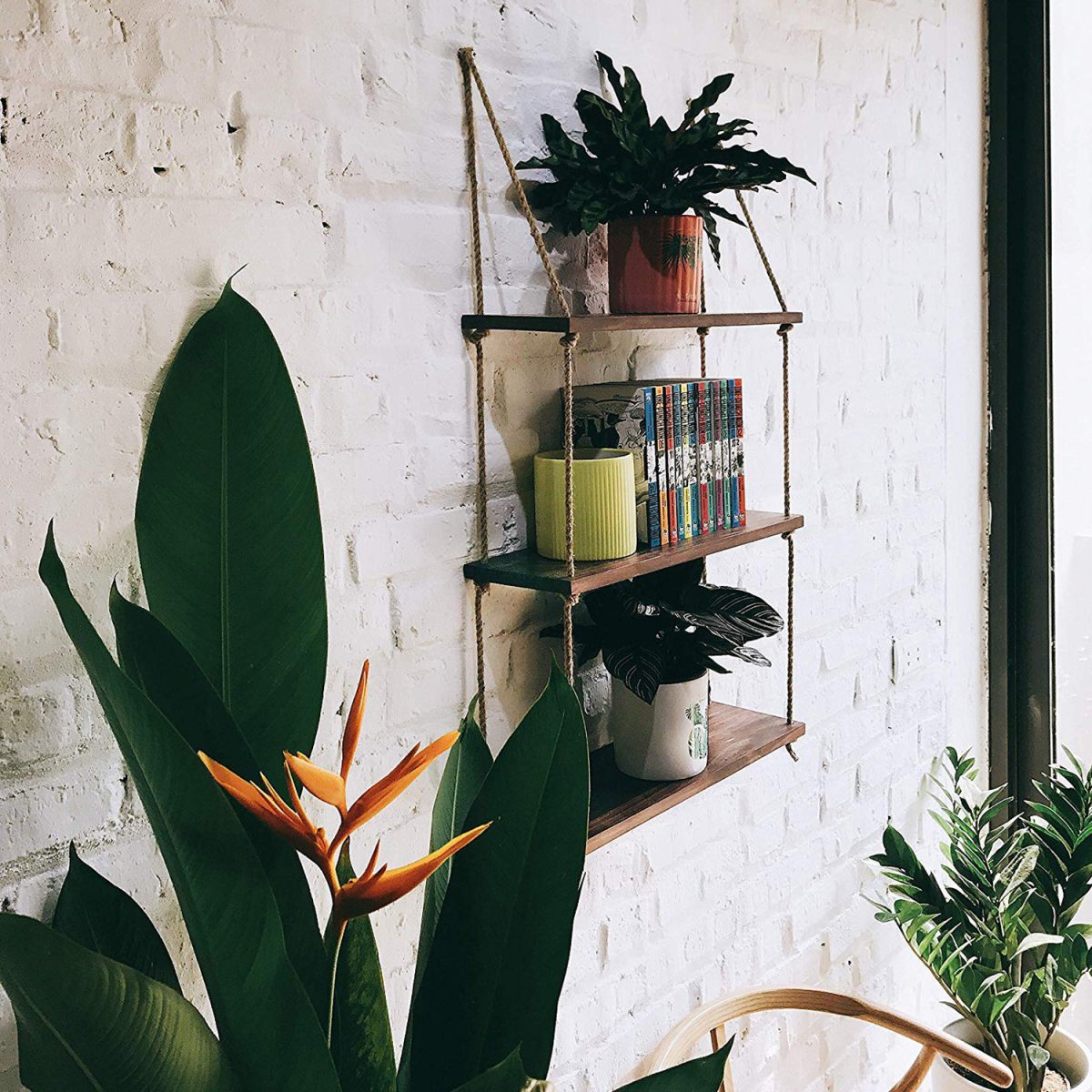 Raf236 – Ѕидна полица - Image 2