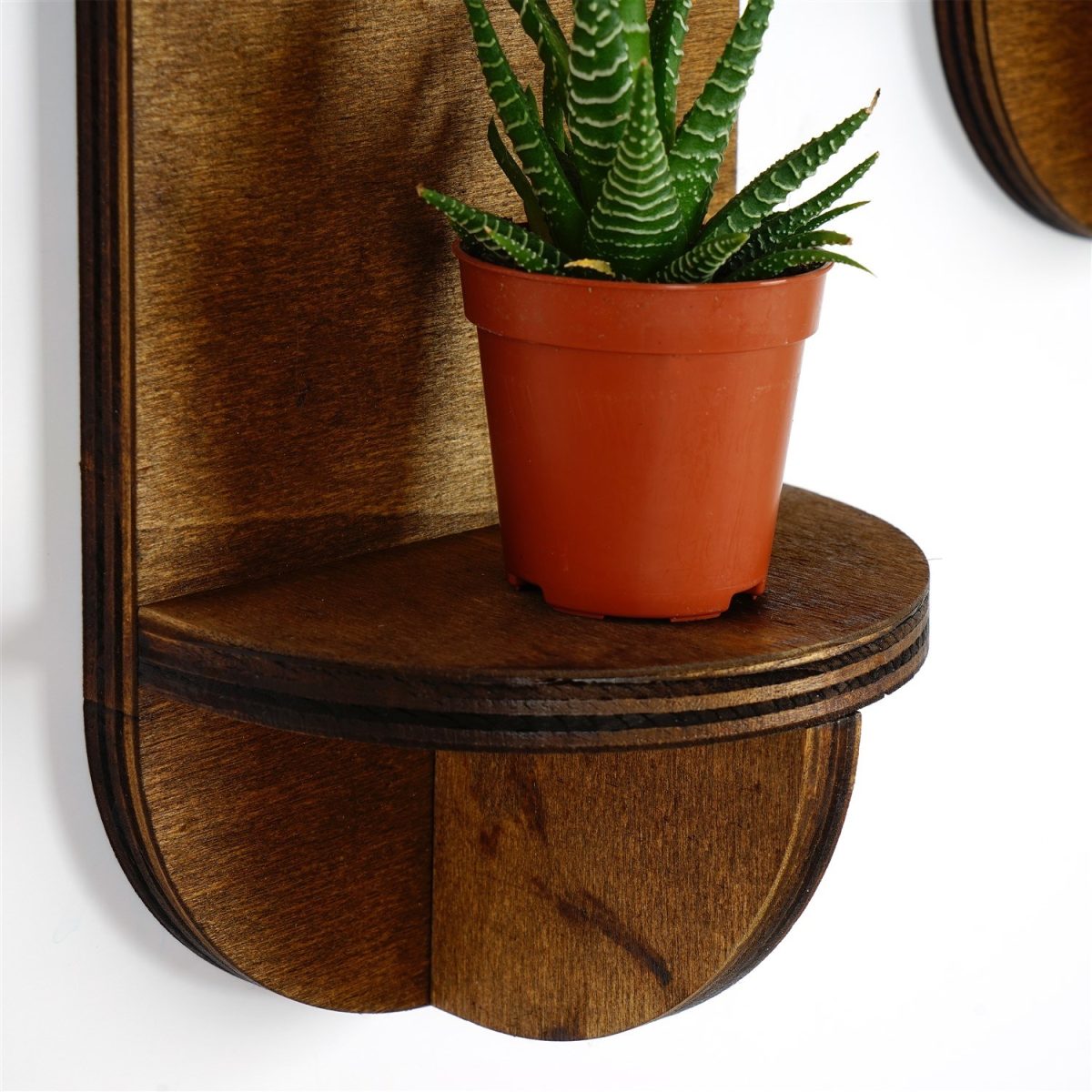 Raf262 – Ѕидна полица - Image 5