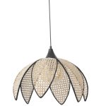 8643-1 – Лустер