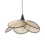 8643-2 – Лустер