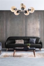 8505-5 – Лустер