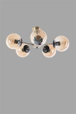 8505-5 – Лустер - Image 3