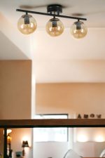 8803-3 – Лустер - Image 2